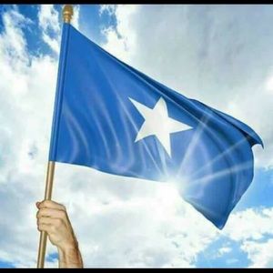 Meet your Posher, Deqa